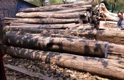 法國木材行業(yè) 經(jīng)濟復蘇趨勢下的銷售新機遇