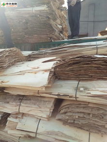 探索優質木材 產品、價格、廠家與一站式采購指南