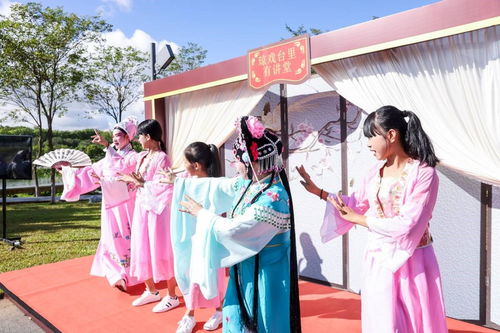 海南舉辦新時(shí)代文明實(shí)踐志愿服務(wù)項(xiàng)目展示活動(dòng)，數(shù)字創(chuàng)意賦能志愿服務(wù)新風(fēng)尚